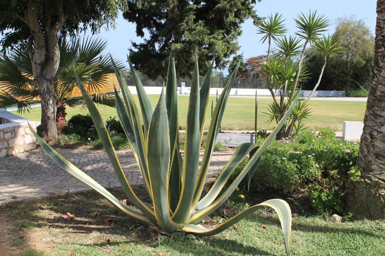 דירות לאגוּ‏ש Casa Beachcomber Le Jardin Des Arts מראה חיצוני תמונה